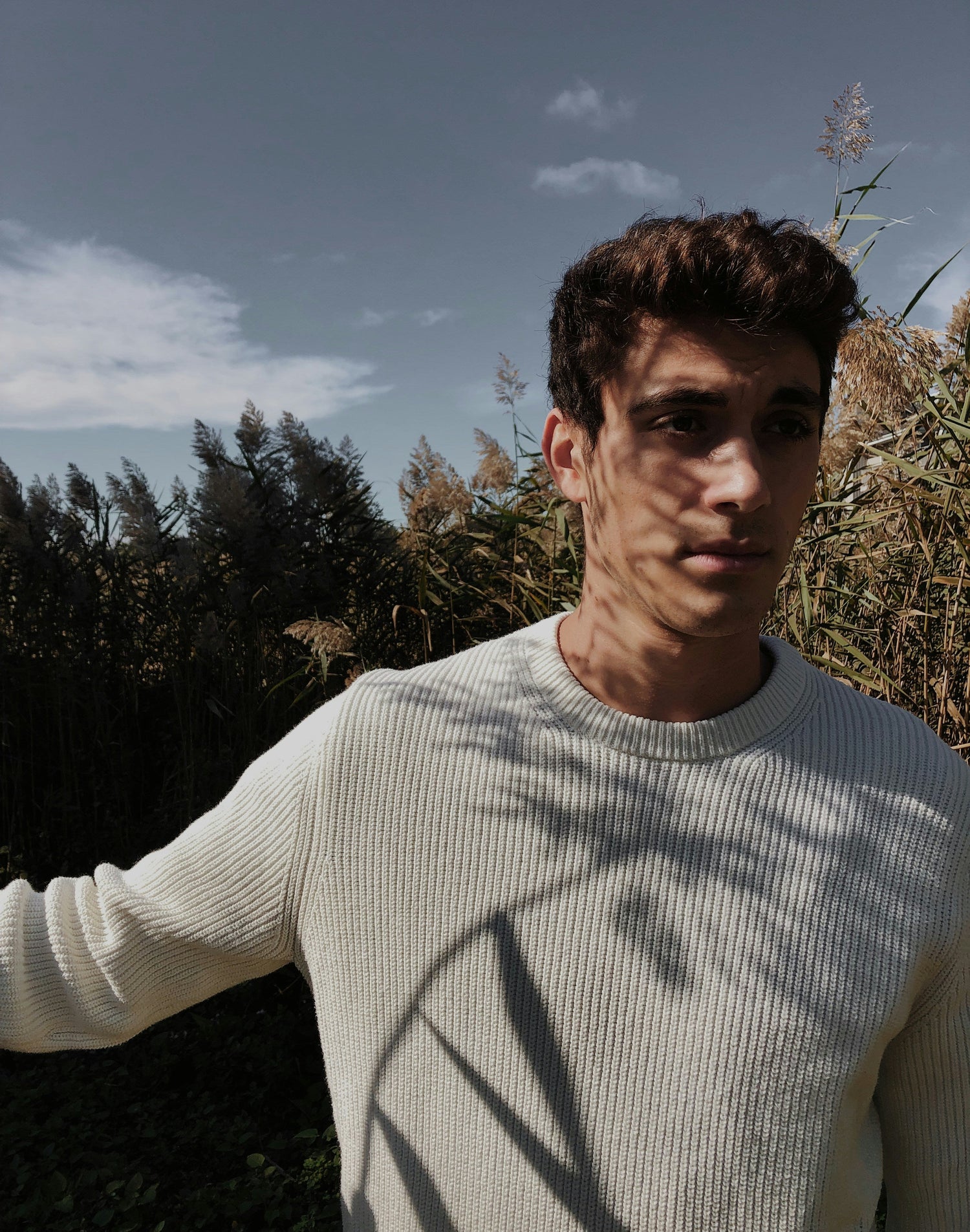 Men's sweater
